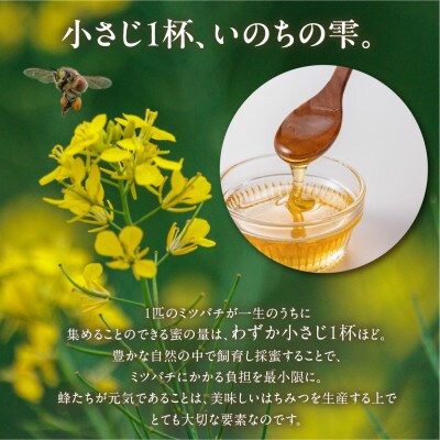 【kosaji】春はちみつ150g+ 夏はちみつ100g 瓶入りギフトセット