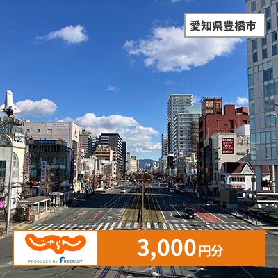 【じゃらんふるさと納税クーポン】 愛知県豊橋市でつかえる3,000円 クーポン