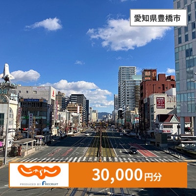 【じゃらんふるさと納税クーポン】 愛知県豊橋市でつかえる30,000円 クーポン