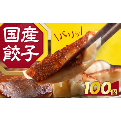 【国産】こだわり餃子100個入