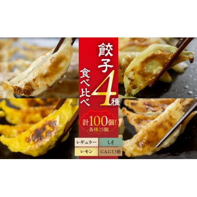 【国産】餃子4種食べ比べセット
