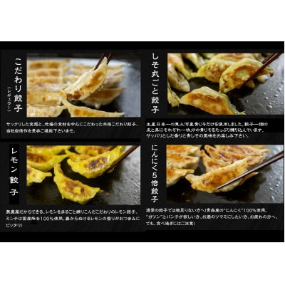 【国産】餃子4種食べ比べセット