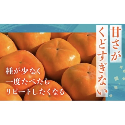 FarmSORAの次郎柿(ご自宅用)6.5kg