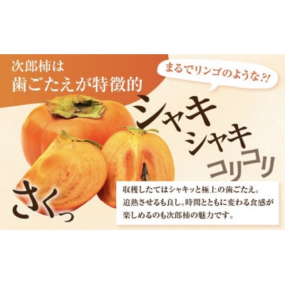 FarmSORAの次郎柿　秀品3kg