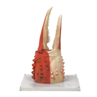 紋別 カニの爪オブジェ - オリジナル版, 小 -