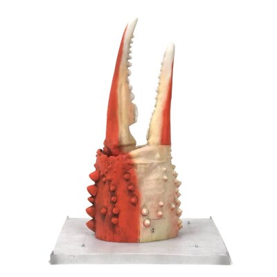 紋別 カニの爪オブジェ - オリジナル版, 大 -