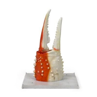 紋別 カニの爪オブジェ - 修復版, 小 -