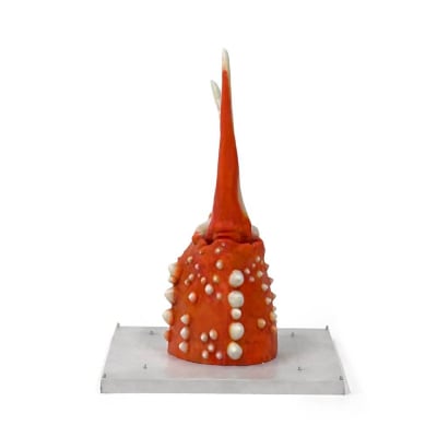 紋別 カニの爪オブジェ - 修復版, 小 -