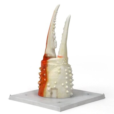 紋別 カニの爪オブジェ - 修復版, 大 -