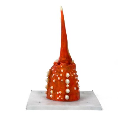紋別 カニの爪オブジェ - 修復版, 大 -