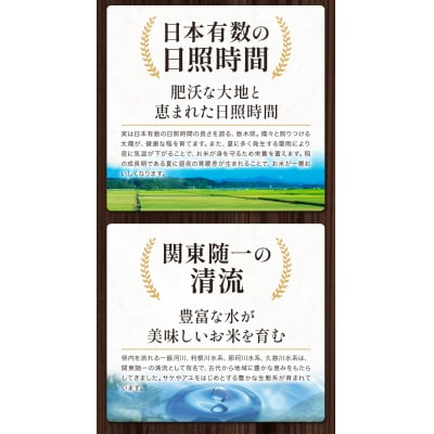 栃木ふるさと米 無洗米5kg6ヶ月定期便《お申込み翌月から出荷》