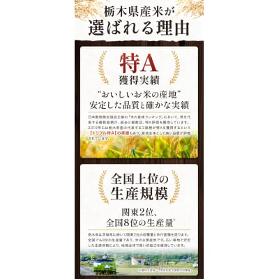 栃木県産コシヒカリ白米20kg《4月中旬-5月末頃出荷予定》