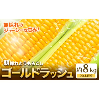 とうもろこし約8kg(20本程度) 老沼 利治《6月中旬-7月中旬頃出荷予定》