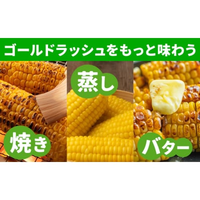 とうもろこし約8kg(20本程度) 老沼 利治《6月中旬-7月中旬頃出荷予定》