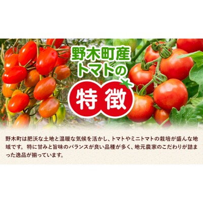 ミニトマト 約1.5kg 1箱 矢畑むらづくり組合《11月上旬-2027年3月末頃出荷予定》