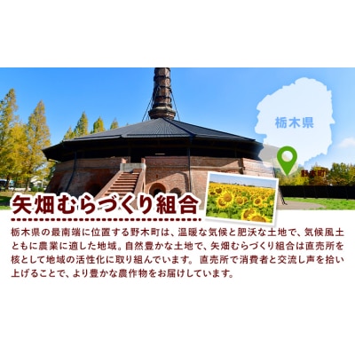 ミニトマト 約1.5kg 2箱 矢畑むらづくり組合《11月上旬-2027年3月末頃出荷予定》