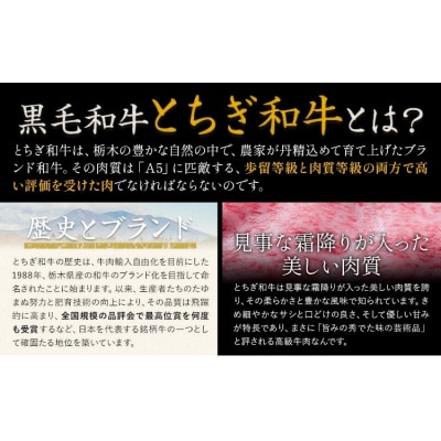 黒毛和牛とちぎ和牛 ヒレ約300g《30日以内に出荷予定(土日祝除く)》