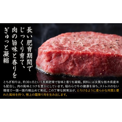 黒毛和牛とちぎ和牛 ヒレ約300g《30日以内に出荷予定(土日祝除く)》
