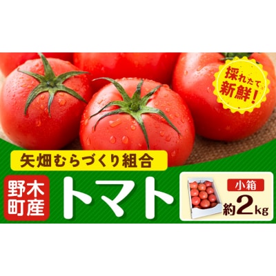 トマト 約2kg 小箱 矢畑むらづくり組合《2026年11月上旬-2027年3月末頃出荷予定》野木町