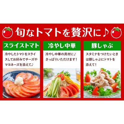 トマト 約2kg 小箱 矢畑むらづくり組合《2026年11月上旬-2027年3月末頃出荷予定》野木町