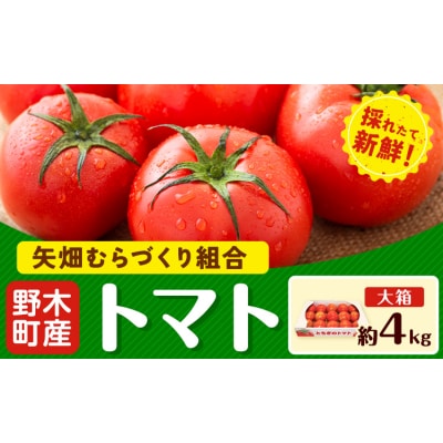 トマト 約4kg 大箱 矢畑むらづくり組合《2025年10月上旬-2026年6月下旬頃出荷》 野木町