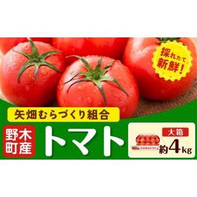 トマト 約4kg 大箱 矢畑むらづくり組合《2026年11月上旬-2027年3月末頃出荷予定》野木町