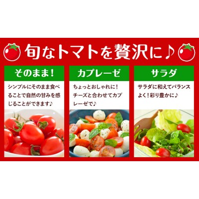 アイコ トマト 約1.5kg 小箱 矢畑むらづくり組合《11月上旬-2027年3月末頃出荷予定》