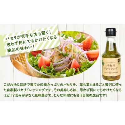 パセリのドレッシング 150g×3本入り 《90日以内に出荷予定(土日祝除く)》