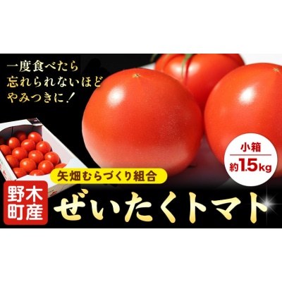 ぜいたくトマト 約1.5kg 矢畑むらづくり組合 《10月上旬-2026年5月末頃出荷予定》