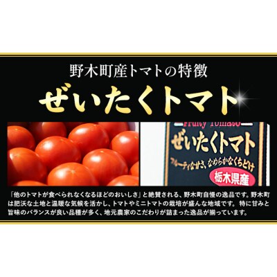 ぜいたくトマト 約1.5kg 矢畑むらづくり組合 《10月上旬-2026年5月末頃出荷予定》