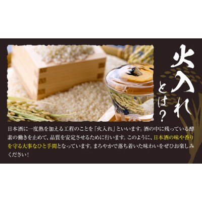 日本酒 地酒 野木きらり 純米吟醸 火入れ 720ml《30日以内に出荷予定(土日祝除く)》