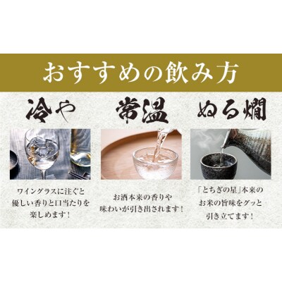 日本酒 地酒 野木きらり 純米吟醸 火入れ 720ml《30日以内に出荷予定(土日祝除く)》