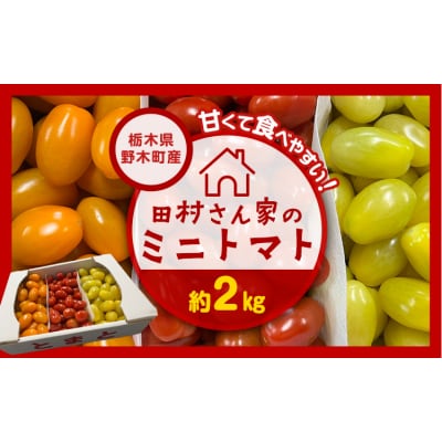 田村さん家のミニトマト約2kg《11月上旬-2026年7月下旬出荷予定》ミニトマト 野木町