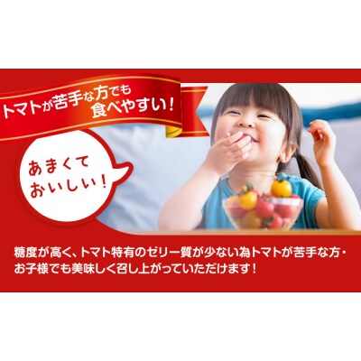 田村さん家のミニトマト約2kg《11月上旬-2026年7月下旬出荷予定》ミニトマト 野木町
