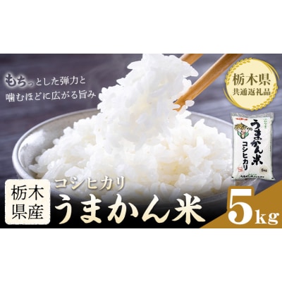 令和7年産 米 お米 コシヒカリ うまかん米 5kg 《30日以内に出荷予定(土日祝除く)》