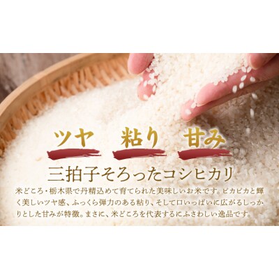令和7年産 米 お米 コシヒカリ うまかん米 5kg 《30日以内に出荷予定(土日祝除く)》