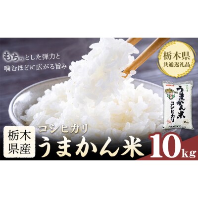 令和7年産 米 お米 コシヒカリ うまかん米 10kg《30日以内に出荷予定(土日祝除く)》