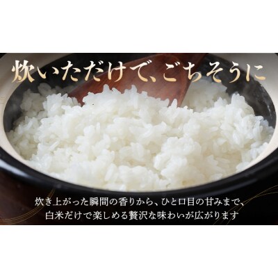 令和7年産 米 お米 コシヒカリ うまかん米 10kg《30日以内に出荷予定(土日祝除く)》