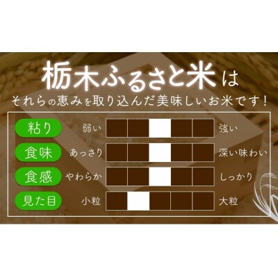 令和7年度産 米 栃木県産 コシヒカリ 白米 10kg《7-14日以内に出荷予定(土日祝除く)》