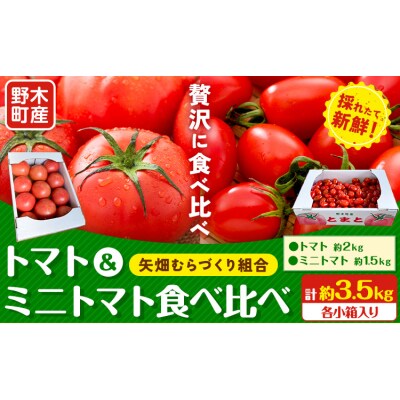 トマト 2kg ミニトマト 1.5kg 食べ比べ《2026年11月上旬-2027年3月末頃出荷予定》