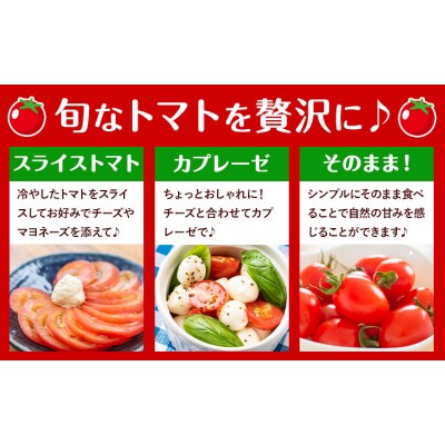 トマト 2kg ミニトマト 1.5kg 食べ比べ《2026年11月上旬-2027年3月末頃出荷予定》