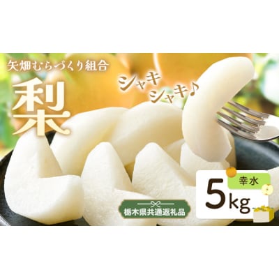梨 なし 幸水 約 5kg 矢畑むらづくり組合《7月下旬-8月中旬頃出荷予定》 