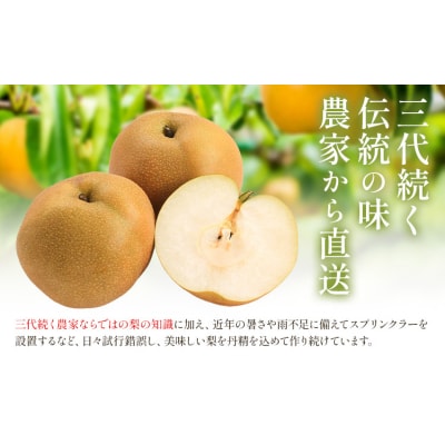 梨 なし 幸水 約 5kg 矢畑むらづくり組合《7月下旬-8月中旬頃出荷予定》 
