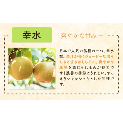 梨 なし 幸水 約 5kg 矢畑むらづくり組合《7月下旬-8月中旬頃出荷予定》 