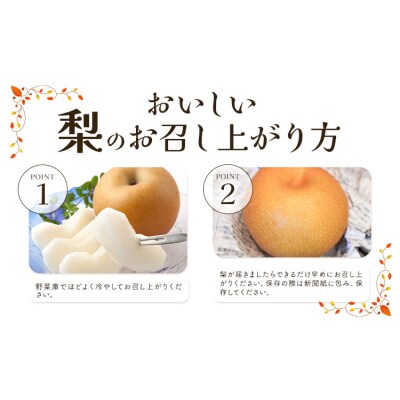 梨 なし 幸水 約 5kg 矢畑むらづくり組合《7月下旬-8月中旬頃出荷予定》 
