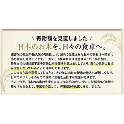 【12ヶ月定期便】令和7年度産 米 栃木県産コシヒカリ 白米 5kg《お申込みの翌月から出荷》