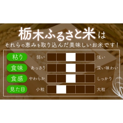 栃木ふるさと米 無洗米 10kg 栃木県 野木町《7-14日以内》【栃木県共通返礼品】