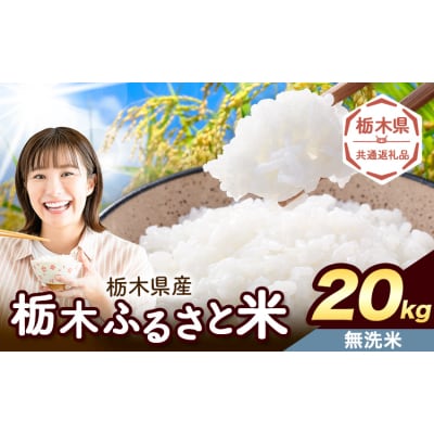 栃木ふるさと米 無洗米 20kg 栃木県 野木町《7-14日以内》【栃木県共通返礼品】
