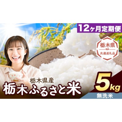 【12ヶ月定期便】栃木ふるさと米 無洗米 5kg 栃木県 野木町《翌月から出荷》【栃木県共通返礼品】