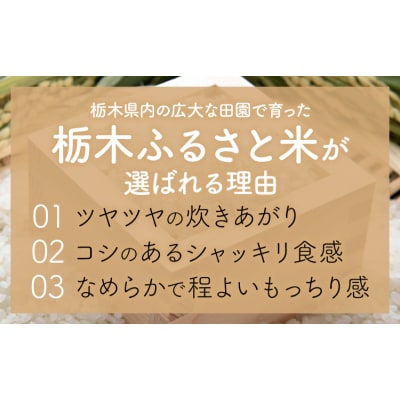 【12ヶ月定期便】栃木ふるさと米 無洗米 5kg 栃木県 野木町《翌月から出荷》【栃木県共通返礼品】